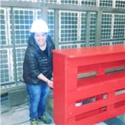 laureata in ingegneria chimica offre ripetizioni private (chimica organica, inorganica)